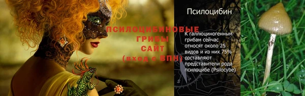 винт Елабуга