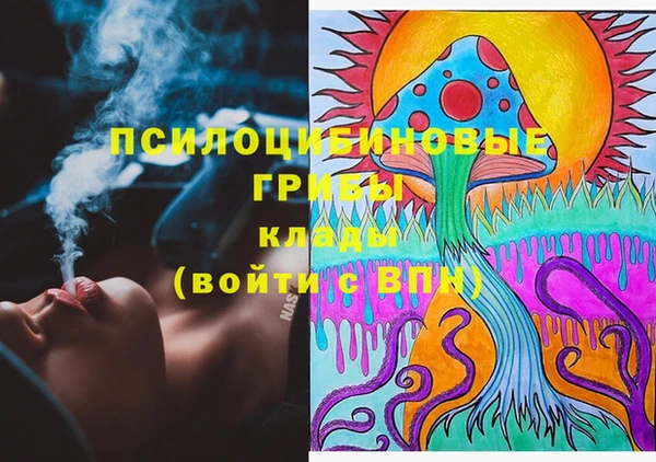 винт Елабуга
