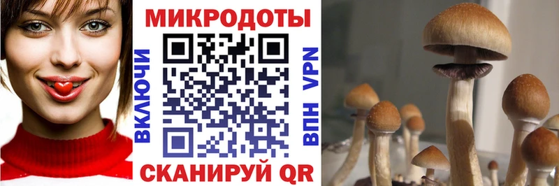 Псилоцибиновые грибы мухоморы  Купить  Карабулак 